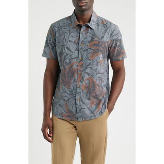 Dark Seas Webster Floral Short Sleeve Cotton Buttion-Up Shirt in Charcoal at Nordstrom, Size Xx-Large