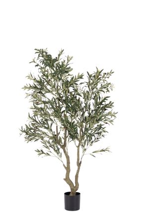 Schubiger M&ouml;bel Kunstpflanzen Olivenbaum im Kunststofftopf H: 180 cm