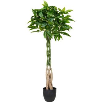 Beliani Beliani - Planta Artificial En Maceta Para Interior Decoraci&oacute;n De Pl&aacute;stico 120 Cm Con Maceta Negra Ra&iacute;z Trenzada Pachire Tree