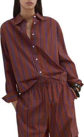 Mango Stripe Cotton Shirt in Russet at Nordstrom, Size 6