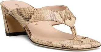 Stuart Weitzman Stassi 50 Thong Sandal in Adobe at Nordstrom, Size 7.5