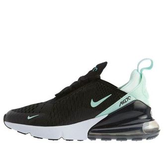 Nike (WMNS) Nike Air Max 270 Igloo AH6789-008