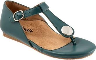 Softwalk Ankle Strap Sandal in Teal at Nordstrom, Size 10.5