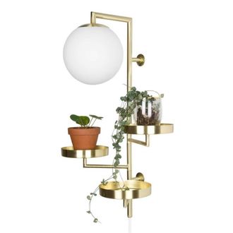 Globen Lighting Aplique con estantes metal, cristal lat&oacute;n dorado cepillado 62cm