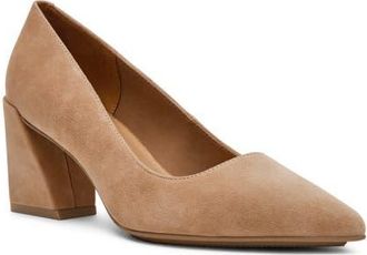 Anne Klein Relena Pointed Toe Pump in Sand Suede at Nordstrom, Size 5.5