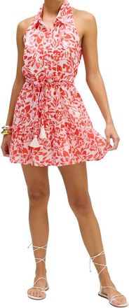 Allison New York Zoey Halter Neck Mini Dress In Red Floral