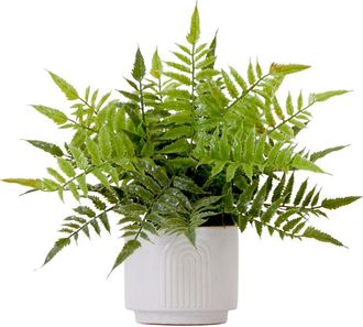 Nearly Natural 13In Artificial Boston Fern Plant With Decorative Planter
