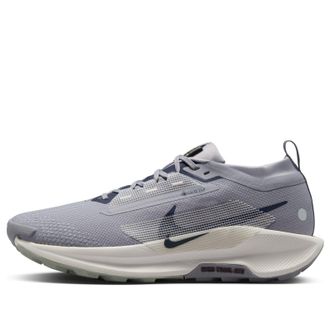 Nike Pegasus Trail 5 Gore-Tex Cement Grey FQ0908-006