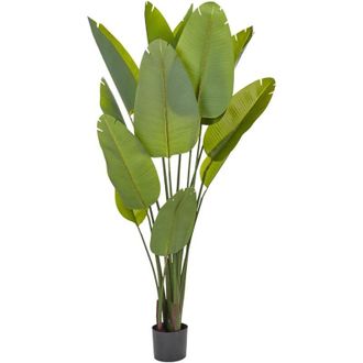 Beliani Planta Artificial En Maceta Para Interior Decoraci&oacute;n Moderna De Pl&aacute;stico Maceta Negra 187 Cm Banana Tree