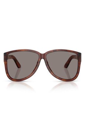 Miu Miu 61mm Oversize Pilot Sunglasses in Striped Tobacco /Dark Grey at Nordstrom