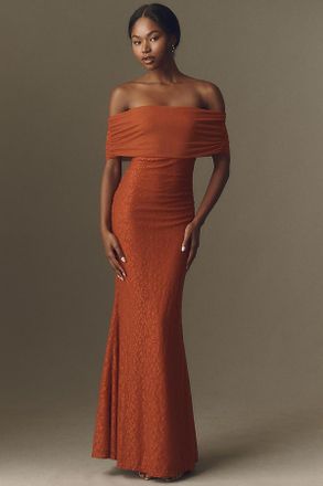 BHLDN Off-The-Shoulder Lace and Mesh Maxi Dress