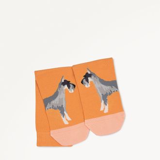 Radley London Sundial 1 Pack Socks Radley & Friends AW25 Radley London