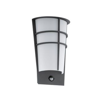 Loops IP44 Outdoor Wall Light & PIR Sensor Anthracite Steel 2.5W Built in LED in Metallics