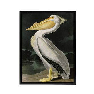Artery8 Audubon Birds White Pelican Painting Framed Canvas Wall Art Print | Size: W24 x H32