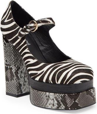 Jeffrey Campbell Chillin Genuine Calf Hair Platform Pump in Black White Zebra Multi at Nordstrom, Size 7