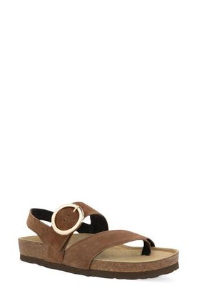 Naot Baltimore Slingback Sandal in Brown Cedar Suede at Nordstrom, Size 10Us