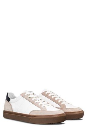 Clae Monroe Venice Leather Sneaker in White Feather Grey Dark Gum at Nordstrom, Size 12