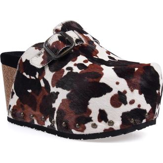 Zigi Soho Cuna Platform Clog in Black Brown Calf Hair at Nordstrom, Size 10