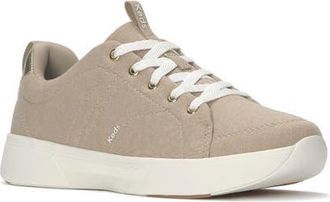 Keds BlissWalk Jersey Sneaker in Oatmeal Heather at Nordstrom, Size 5.5