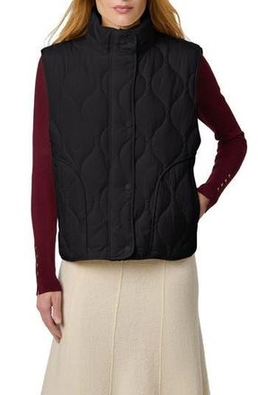 Bernardo Beekman Quilted Puffer Vest in Black at Nordstrom Rack, Size Xx-Large