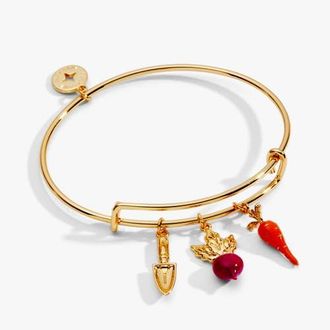 Alex and Ani Farmers Market Multi Charm Bangle in Gold at Nordstrom