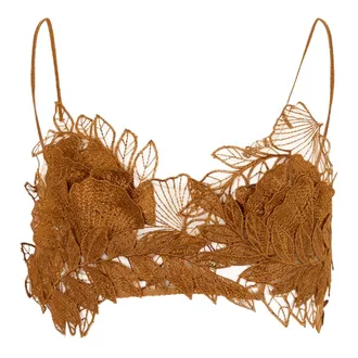 Alberta Ferretti Alberta Ferretti, Sleeveless Tops, female, Brown, Size: XS Lace Bralette Top