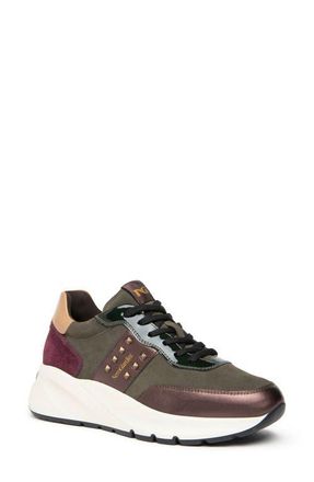 Nero Giardini Studded Platform Sneaker in Green Multi at Nordstrom, Size 10Us