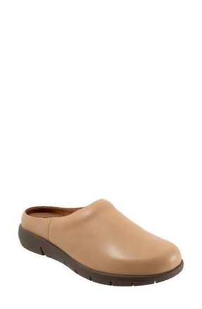 Softwalk Andria Mule in Beige at Nordstrom, Size 10.5