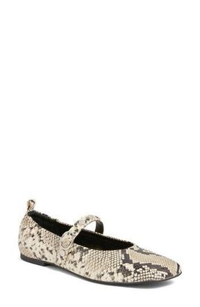 Open Edit Amethyst Mary Jane Ballet Flat in Black White Snake Emobssed at Nordstrom Rack, Size 6.5