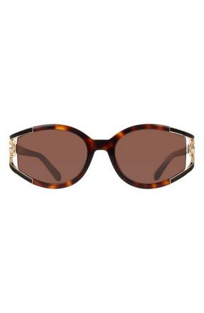 Ferragamo 56mm Oval Sunglasses in Tortoise at Nordstrom