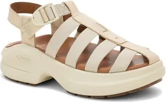 Chaco Cushform Fisherman Sandal in Khaki at Nordstrom, Size 12