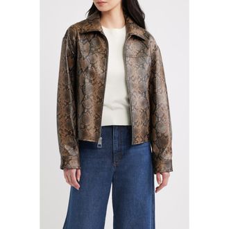 BCBGeneration Faux Snakeskin Jacket in Brown Snake at Nordstrom, Size X-Large