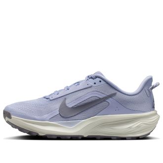 Nike (WMNS) Nike ACG Pegasus Trail Ghost Mineral Slate HV8121-003