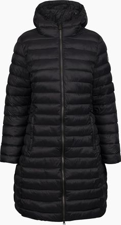 Trespass Womens Trespass Womens/Ladies Dorothea Padded Jacket - Black - Size: 18/20
