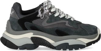 Ash SNEAKER ADDICT GRIGIA ASH