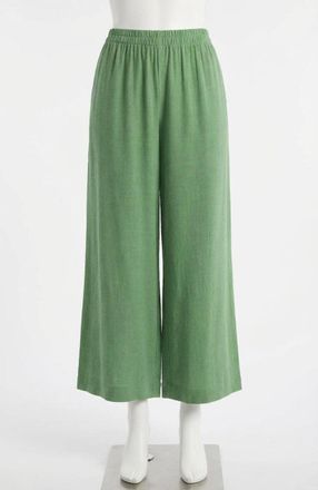 Z Supply Scout Linen Rayon Pant In Lawn