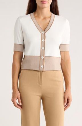 Ellen Tracy V-Neck Sweater in Marshmallow at Nordstrom Rack, Size X-Large