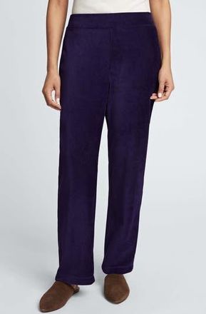 Foxcroft Caden Plush Corduroy Pants in Deep Purple at Nordstrom Rack, Size X-Small