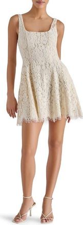 Steve Madden Knightley Cotton Blend Lace Minidress in Marshmallow at Nordstrom, Size 12
