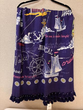 Maison Common Embroidered Scarf In Blue Multi