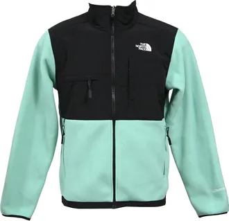 The North Face Denali Fleece Jacket in Turquoise Fleece