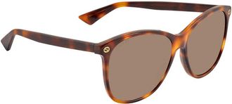 Gucci GG0024 Brown Oval Ladies Sunglasses GG0024S 002 58