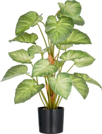 Creativ Green Kunstpflanze