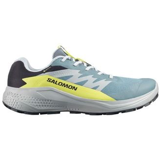 Salomon Alphaglide GORE-TEX Trailrunningschuhe f&uuml;r Herren | grau