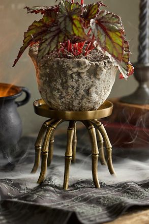 Terrain Brass Spider Plant Stand