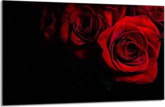 OEM Placa Protectora De Vidrio Para Estufa 80x52 Rosa