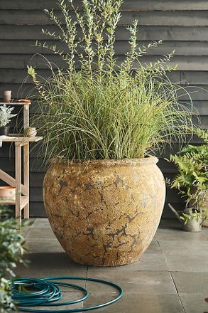 Terrain Barnacle Round Shoulder Jar