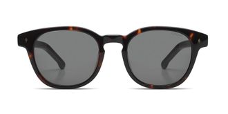 Komono Floyd/S S1301 Mens Sunglasses Tortoiseshell Size 49