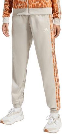 adidas 3-Stripes Tricot Pants in Wonder Alumina/Multicolor/ at Nordstrom Rack, Size Medium