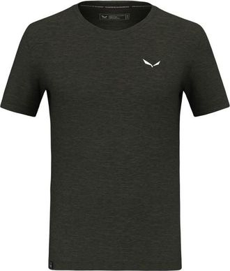 Salewa Eagle Minilogo Alpine Merino T-Shirt Merinoshirt für Herren | grün